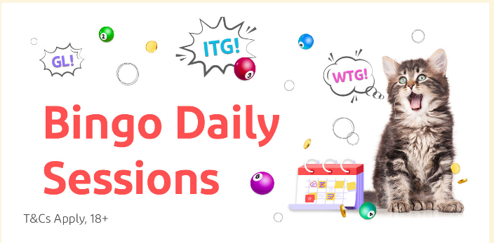 Bingo Daily Sessions