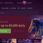 Malina Casino Review